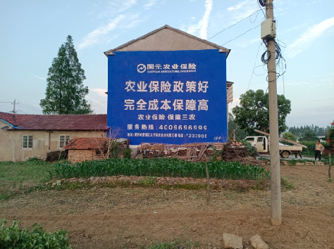 芜湖墙体广告的优劣势你知道吗？